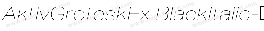 AktivGroteskEx BlackItalic字体转换